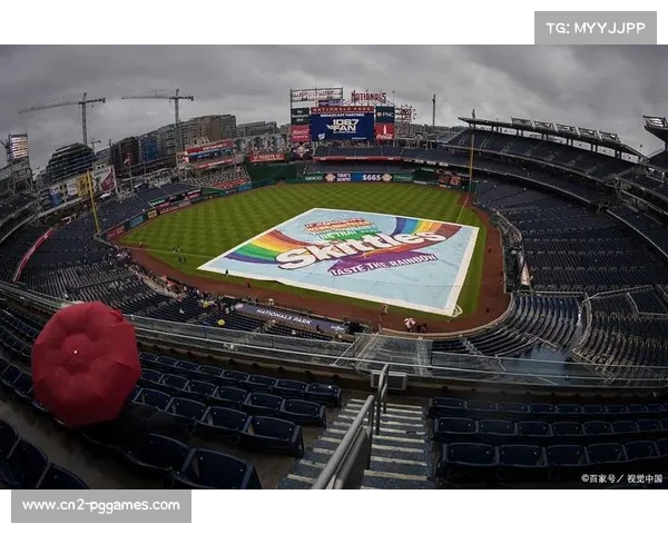 法国足协将加强球场安全管理，拟推行球迷黑名单机制